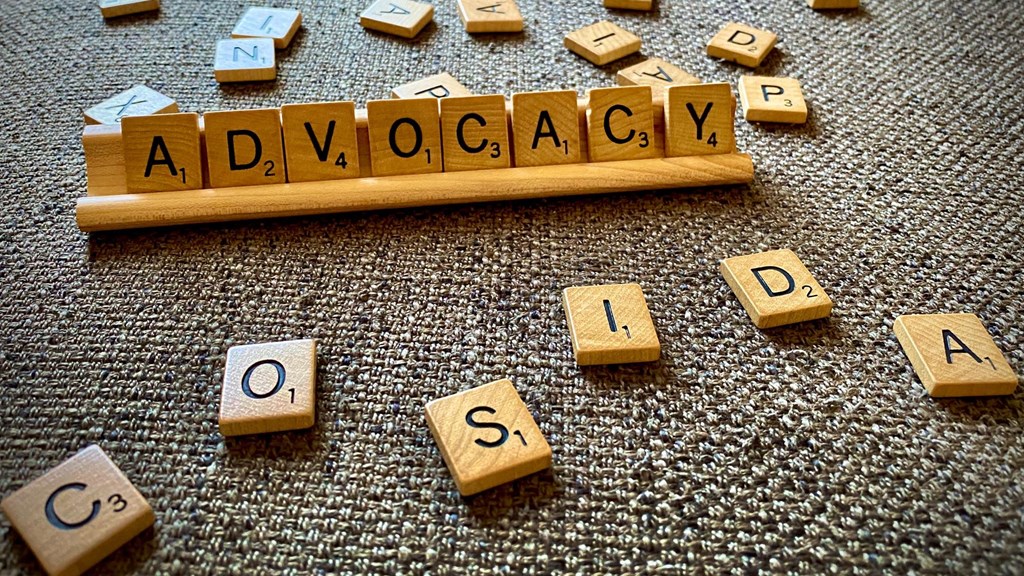 Understanding What CoSIDA Does Under the Heading of Advocacy